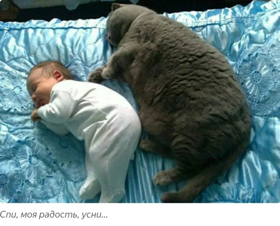 Спи МОЯ радость усни