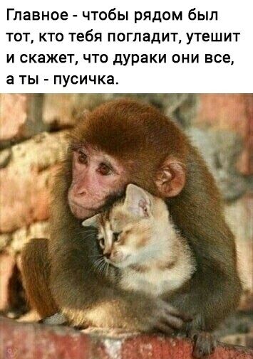 Главное чтобы рядом был тот кто тебя погпадит утешит и скажет что дураки они все а ты пусичка