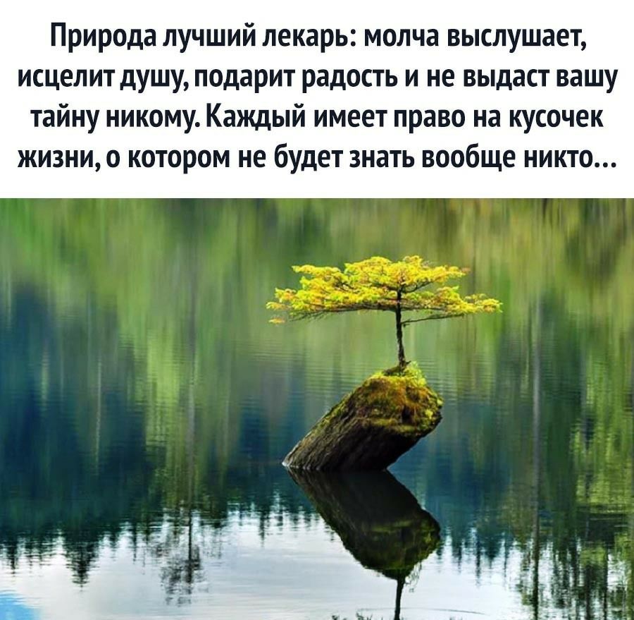Природа лучший лекарь молча выслушает исцелит душу подарит радость и не выдаст вашу тайну никому Каждый имеет право на кусочек жизни о котором не будет знать вообще никто