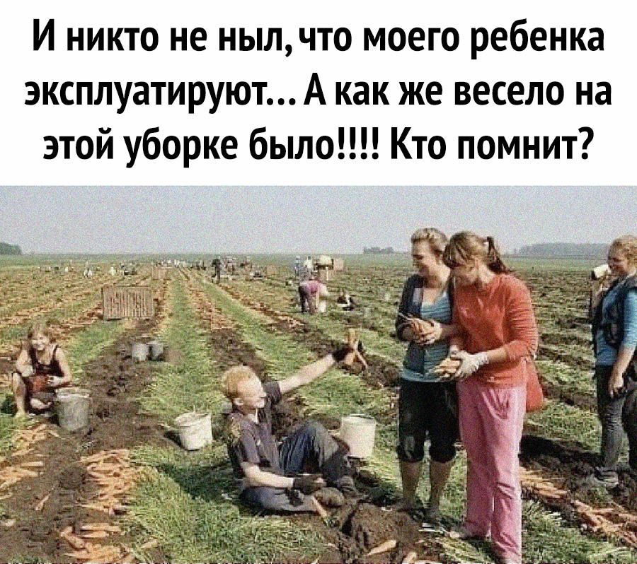 И никто не нылчто моего ребенка эксплуатируют А как же весело на этой уборке было Кто помнит