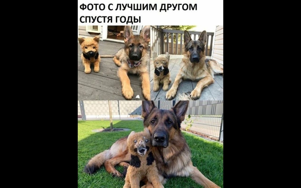 ФОТО С ЛУЧШИМ ДРУГОМ спустя годы __ 7