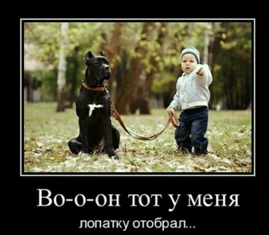 Во о он тот у меня лопатку отобрал