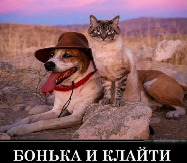 БОНЬКА И КЛАЙТИ