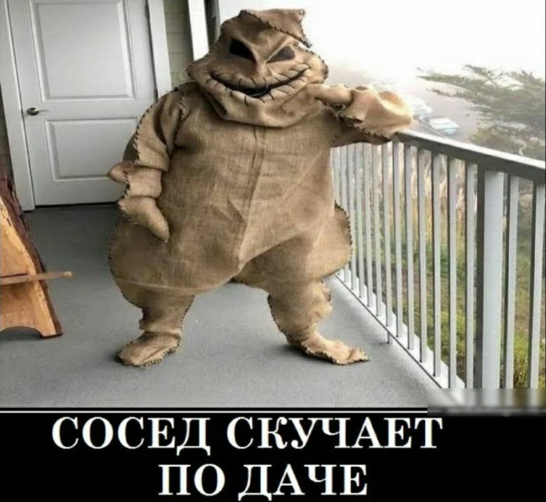 СОСЕД СКУЧАЕТ по ДАЧЕ