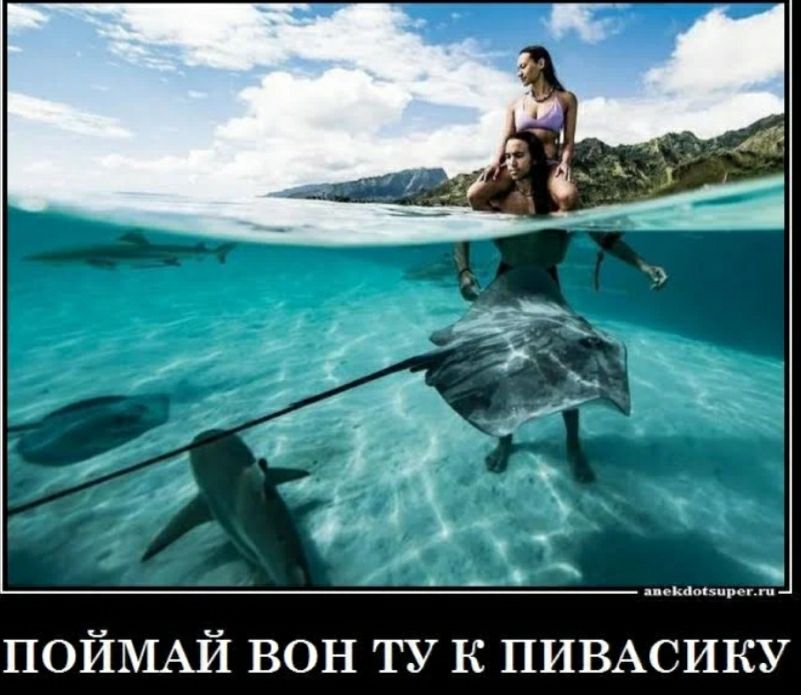 ПОЙМАЙ вон ТУ к ПИВАСИКУ