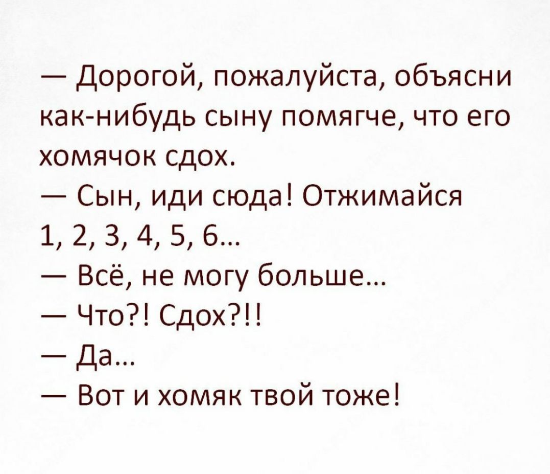 Дорогой пожалуйста объясни как нибудь сыну помягче что его хомячок сдох Сын иди сюда Отжимайся 1 2 3 4 5 6 Всё не могу больше Что Сдох Да Вот и хомяк твой тоже