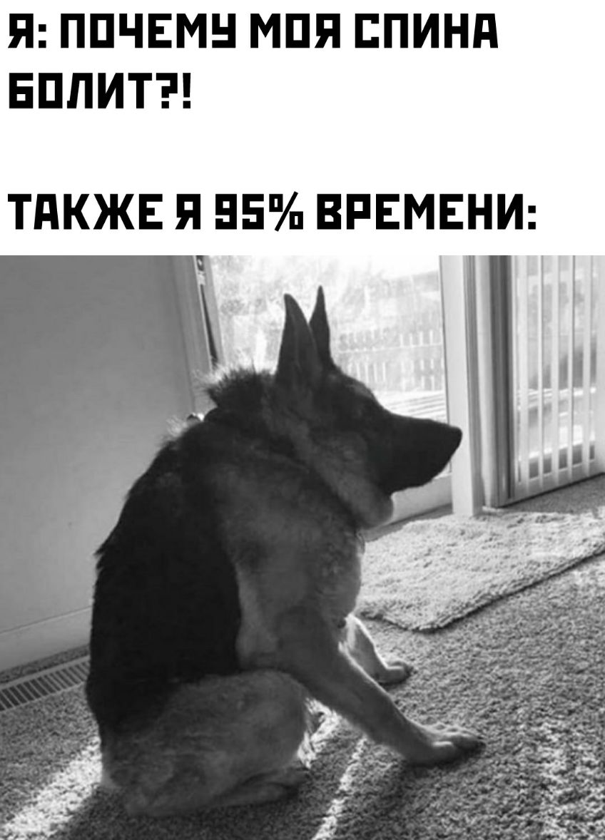 Я ППЧЕМН МПП ЕПИНд ЕППИТ ТдКЖЕ Я 55 ВРЕМЕНИ