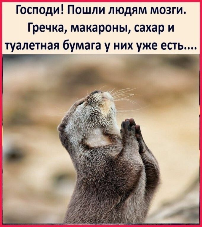 Господи Пошли людям мозги Гречка макароны сахар и туалетная бумага у них уже есть