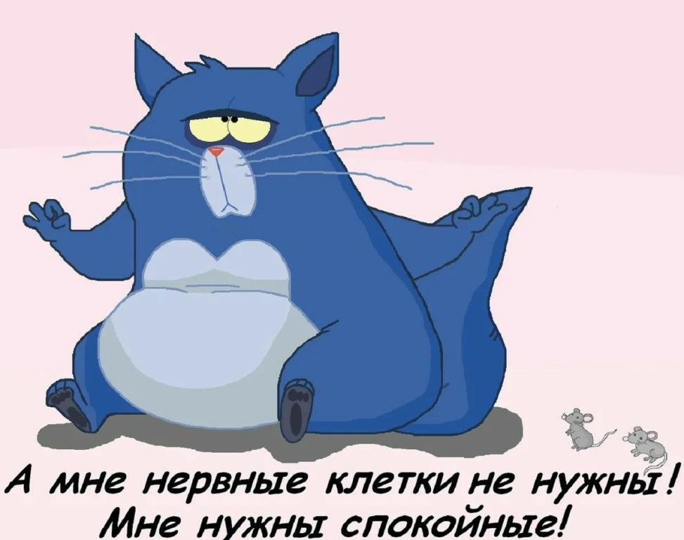 3 3 А мне нервные клетки не нужны Мне нужны спокойные