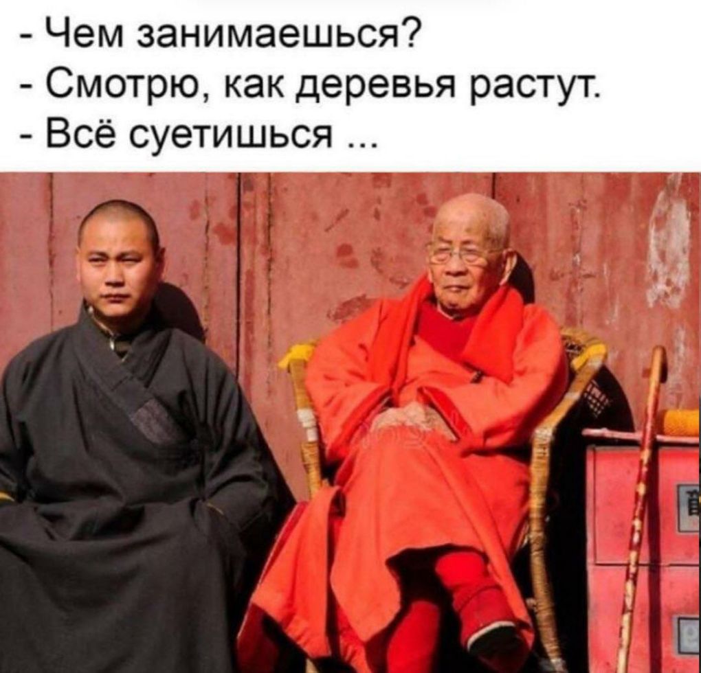 Чем занимаешься Смотрю как деревья растут Всё суетишься