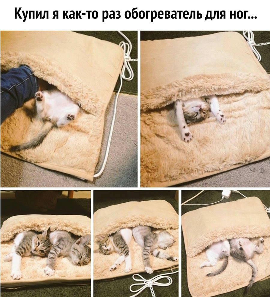 Купил я как то раз обогреватель для ног