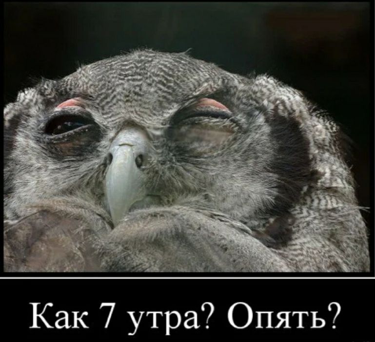 Как 7 утра Опять