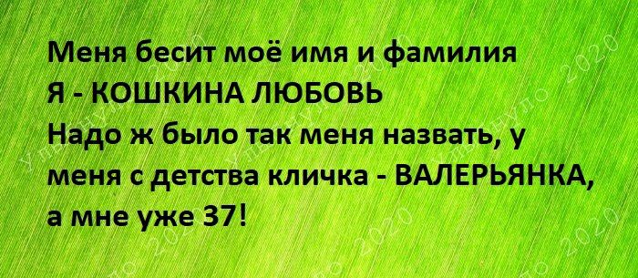 Меня бесит моё имя и фамилия _ Я КОШКИНА ЛЮБОВЬ Надо ж было так меня назвать у меня с детства кличка ВАЛЕРЬЯНКА а мне уже 37