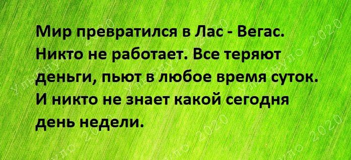 Мирдітревратился в Лас Вегас _НИКто не работает Все теряют деньги пьют в любое время суток И никто не знает какой сегодня день недели