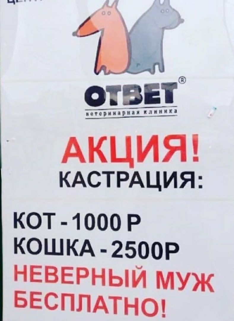 КАСТРАЦИЯ КОТ 1000 Р