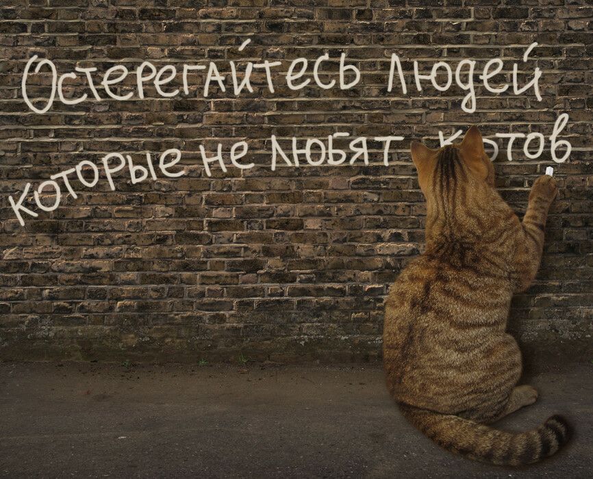 1 накипь нц