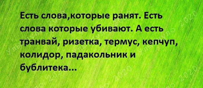 Есть словакоторые ранят Есть слбва которые убивают А есть транвай ризетка термус кепчуп колидор падакольник и бублитека