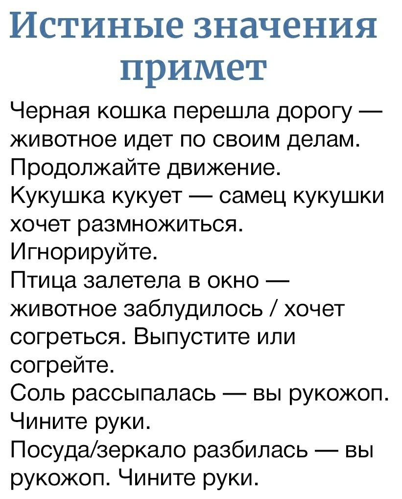 Что значит приметы времени. Истинное значение примет. Кукушка кукует приметы. Приметы о чёрных кошках. Примета черный кот перешел дорогу.