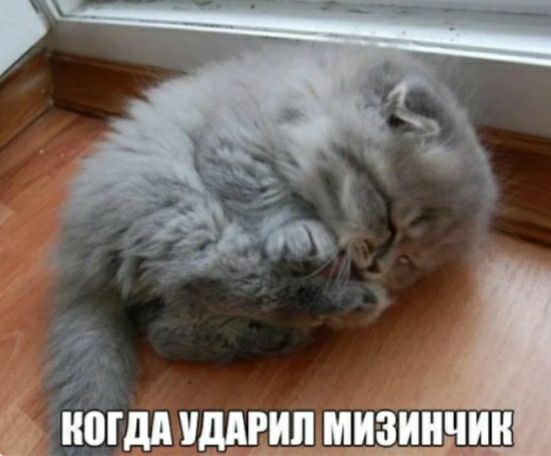 іюгдпдшпмизйниин