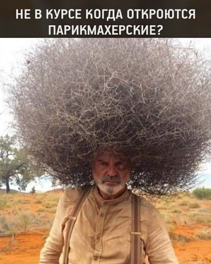 НЕ В КУРСЕ КОГДА ОТКРОЮТСЯ ПАРИКМАХЕРСНИЕ