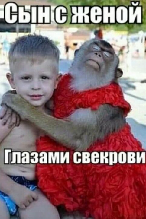 сын с женой ВЁ пазами свцнрови _ ч