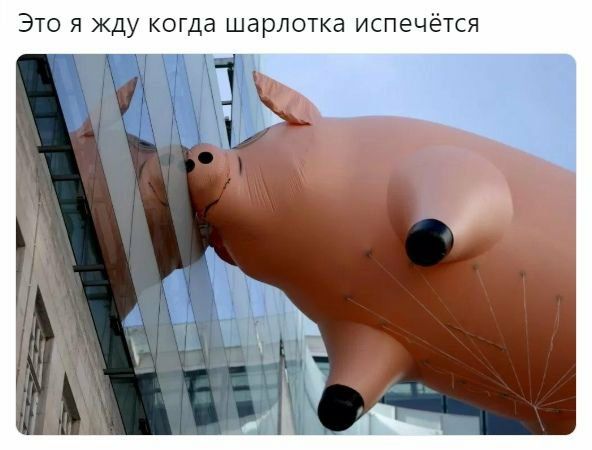 ЭТО Я Жду КОГДд шарлотка ИСПеЧёТСЯ