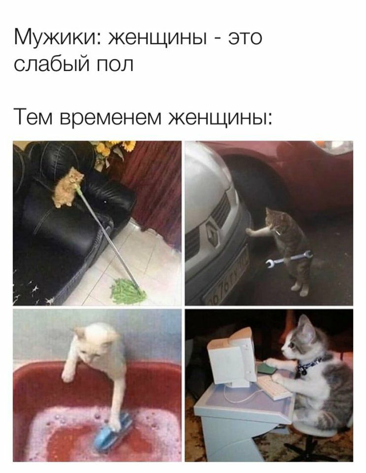 ики женщины это слабый пол Тем временем женщины к