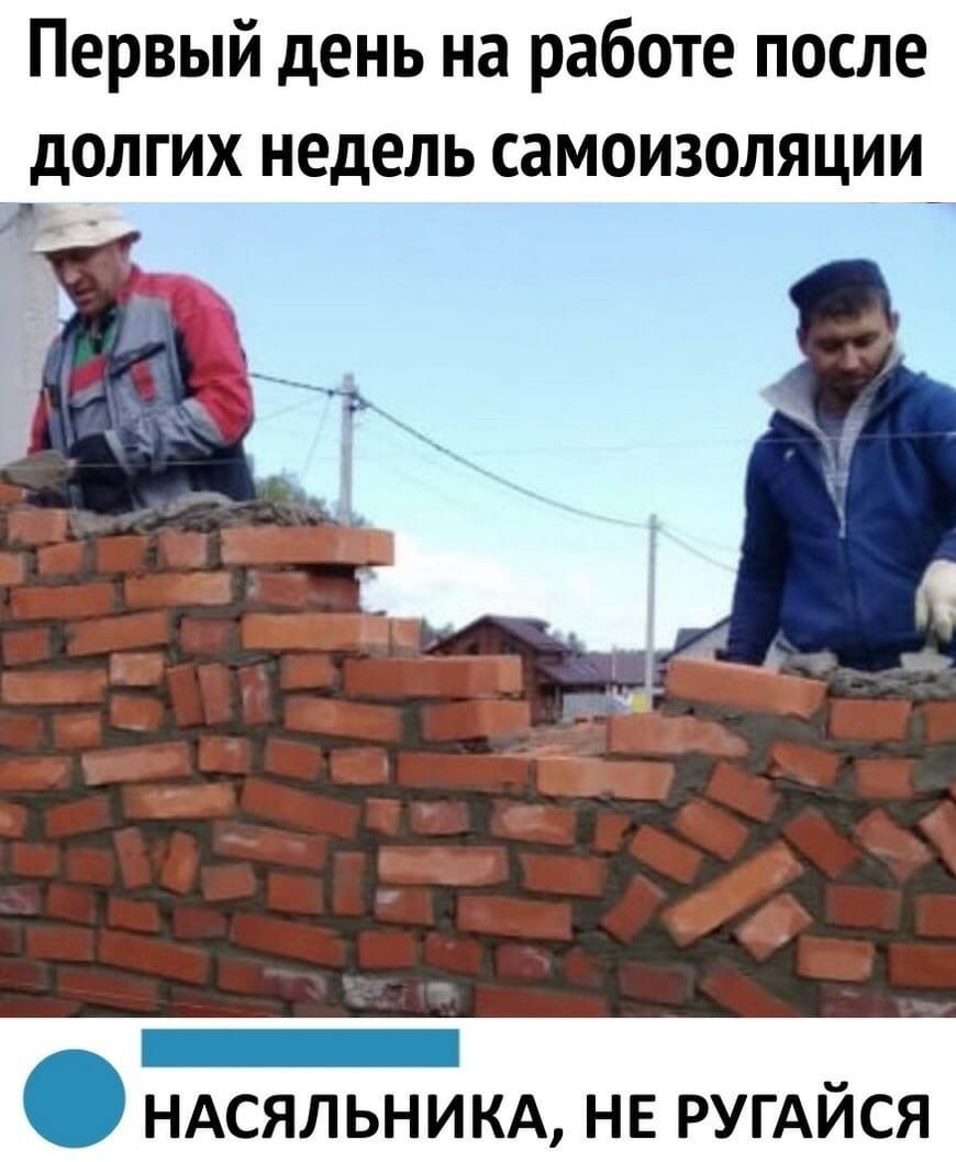Первый день на работе после долгих недель самоизоляции_ _ _ НАСЯЛЬНИКА НЕ РУГАИСЯ