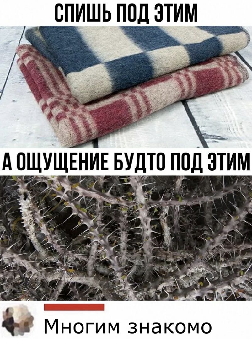 спишь под этим Многим знакомо
