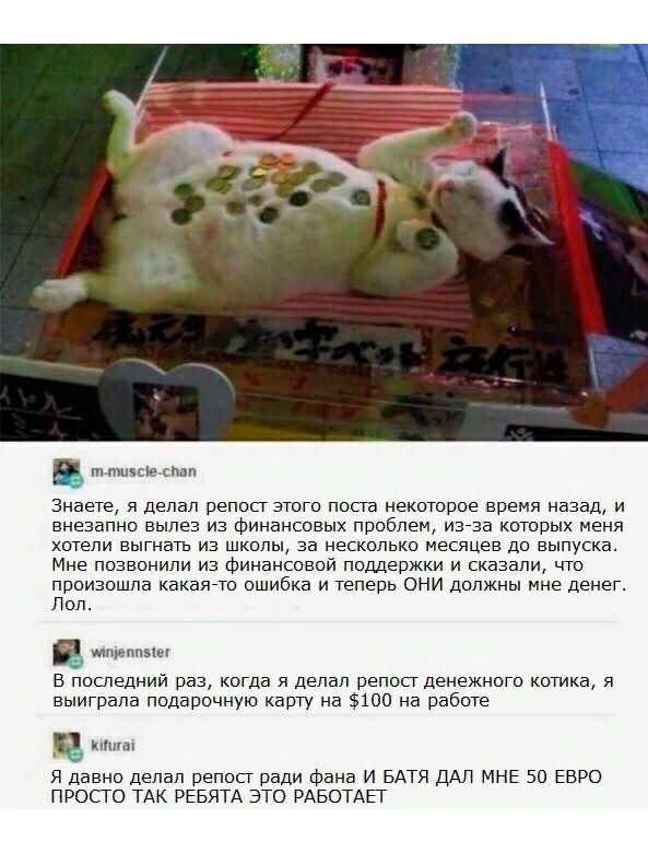 _ тпшзсіе спал Знаете я делал репосг этого поста некоторое время назад и внезапно вылез из финансовых проблем изза которых меня хотели выгнать из школы за несколько месяцев до выпуска Мне позвонили из финансовой поддержки и сказали что произошла какаято ошибка и теперь они должны мне денег Поп и не в последний раз когда я делал репосг денежного котика я выиграла подарочную карту на 100 на работе я