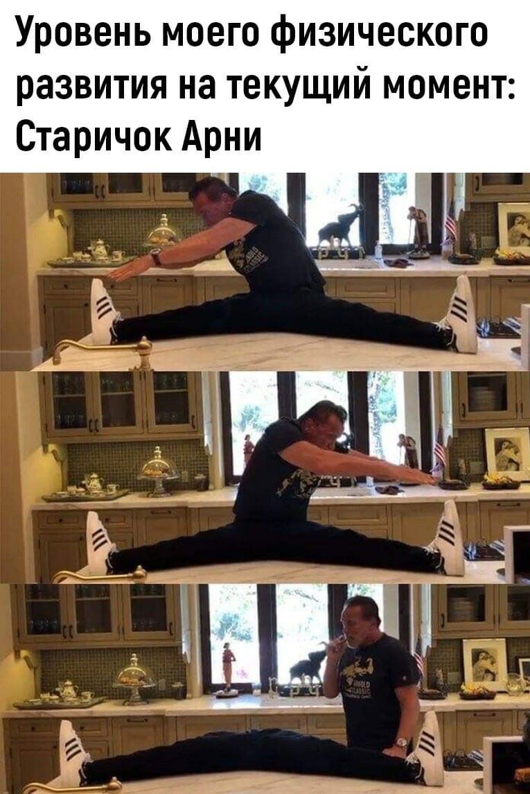 Уровень моего физического развития на текущий момент Старичок Арни