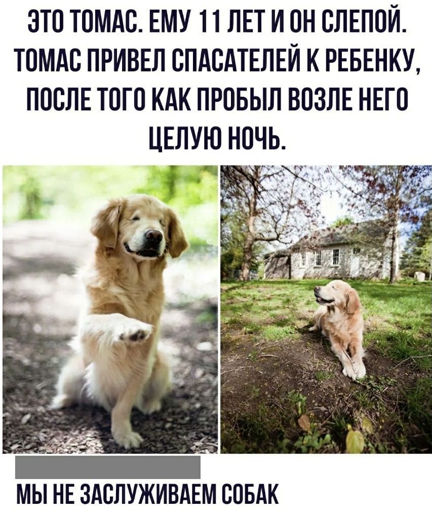 ЭТП ТОМАС ЕМУ 11 ЛЕТ И ОН СЛЕППЙ ТОМАС ПРИВЕЛ СПАСАТЕЛЕЙ К РЕБЕНКУ ПОСЛЕ ТОГО КАК ПРОБЫЛ ВПЗЛЕ НЕГП ЦЕЛУЮ НОЧЬ 3 м _ МЫ НЕ ЗАСЛУЖИВАЕМ ВПБАК