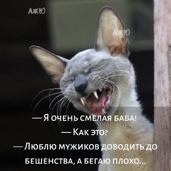 МЮ Лювлю мужиков БЕШЕНСТВААБЕГ