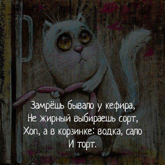 Заирёшь бывало у кефира Не жирный выбираешь сорт Хоп а в корзинке водка сало И торт