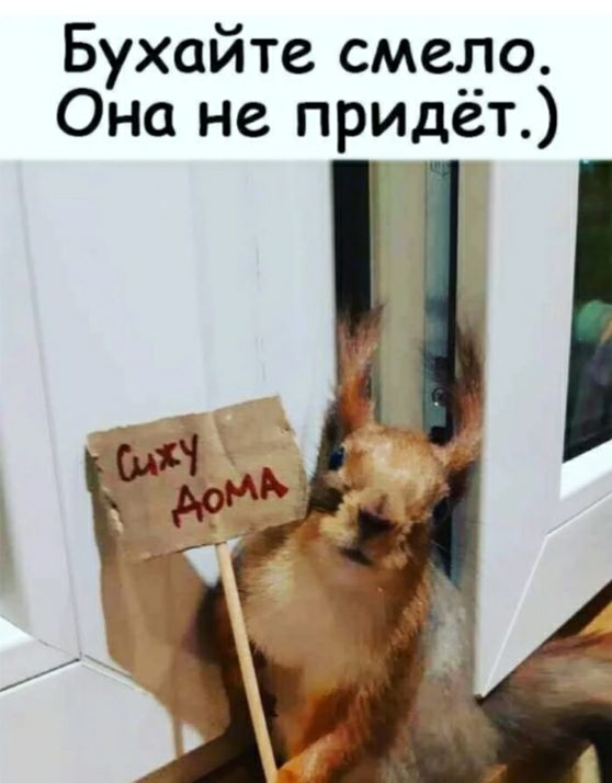 Бухайте смедо Она не придет