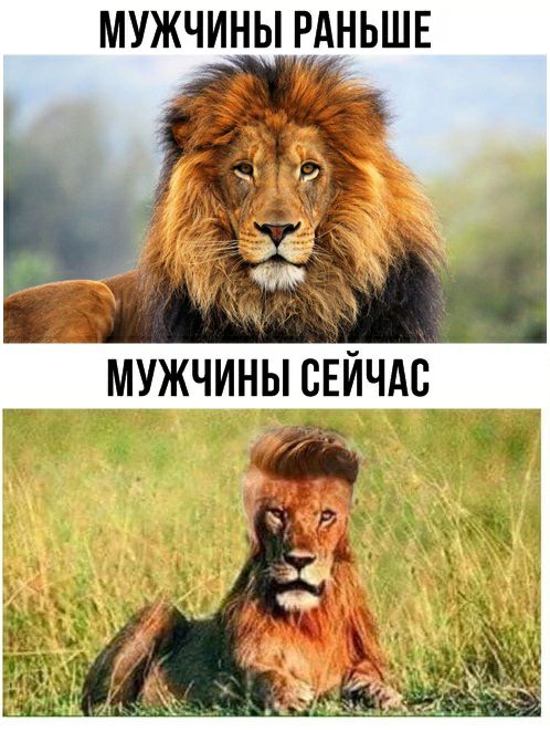 МУЖЧИНЫ РАНЬШЕ МУЖЧИНЫ СЕЙЧАС