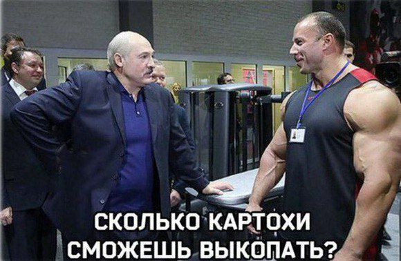СКОЛЬКО КАРТЦХИ ВСМОЖЕШЬ ВЫКОПАТЬ