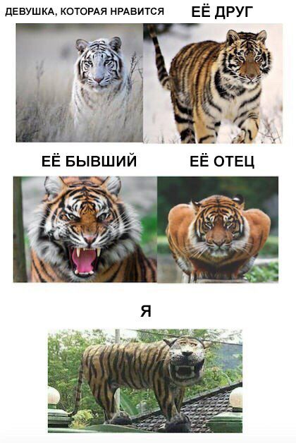 днушкд которм нравится ЕЁ друг