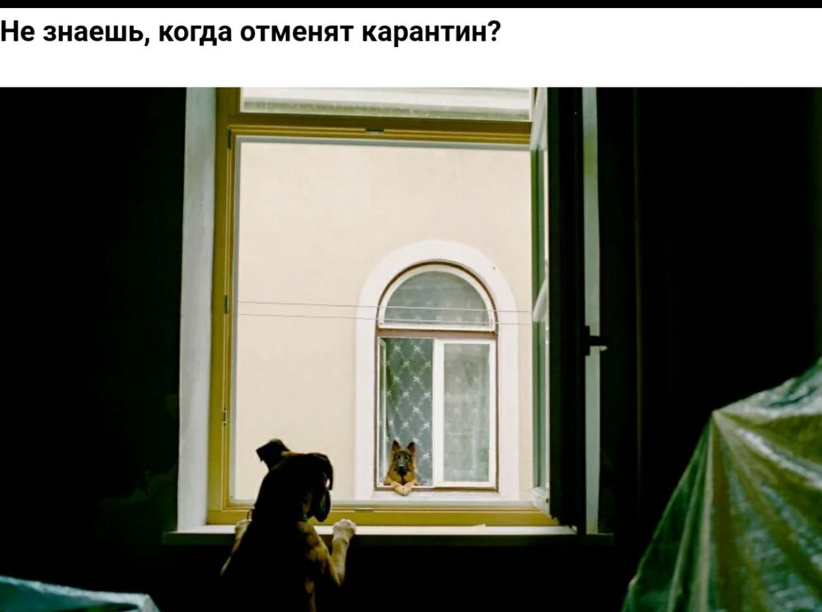 Не знаешь когда ОТМЕНЯТ карантин