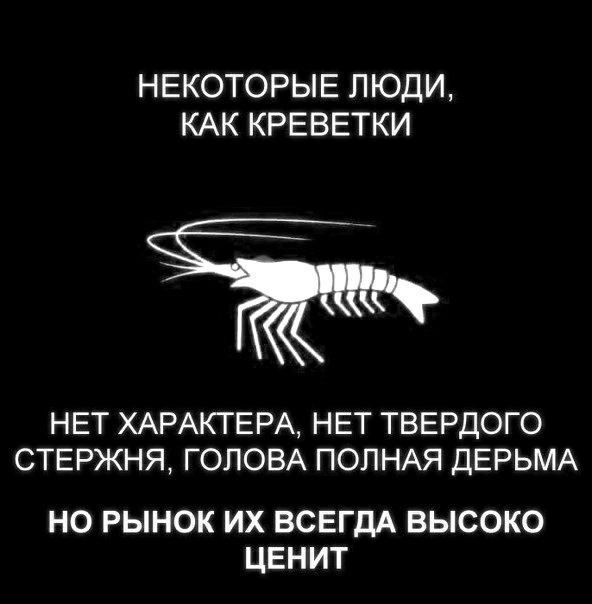 НЕКОТОРЫЕ ЛЮДИ КАК КРЕВЕТКИ НЕТ ХАРАКТЕРА НЕТ ТВЕРДОГО СТЕРЖНЯ ГОЛОВА ПОЛНАЯ ДЕРЬМА НО РЫНОК ИХ ВСЕГДА ВЫСОКО ЦЕНИТ