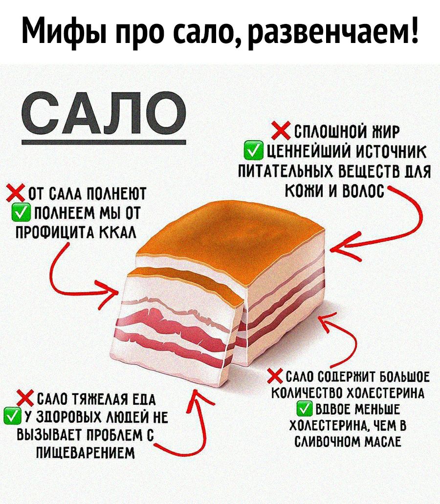 Мифы про сало развенчаем САП О ХспАошнои тир інвннвйшии источник питдтвдьных веществ мя ПТ СМА ПОАНЕЮТ КОЖИ И ВОАПС ПОАНЕЕМ МЫ ОТ ПРОФИЦИТА ККАА смо солвртит ымьшов ЁХ сААо тяшшя ЕЦА КМЁЁБЁЁЁЁЁЁЁИМ 7 ЗДОРОВЫХ АюпЕИ НЕ ХОАЕВТЕРИНА чем в ВЫЗЫВАЕТ ПРОБАЕМ 0 САИБОЧНОМ МАСЕ ПИЩЕБАРЕНИЕМ