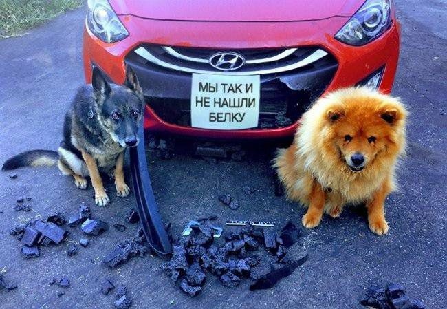 МЫ ТАК И НЕ НАШЛИ ввпку