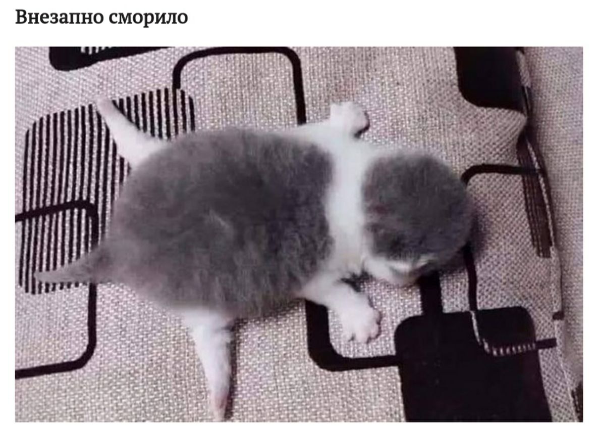 внезапно СМОРИЛО