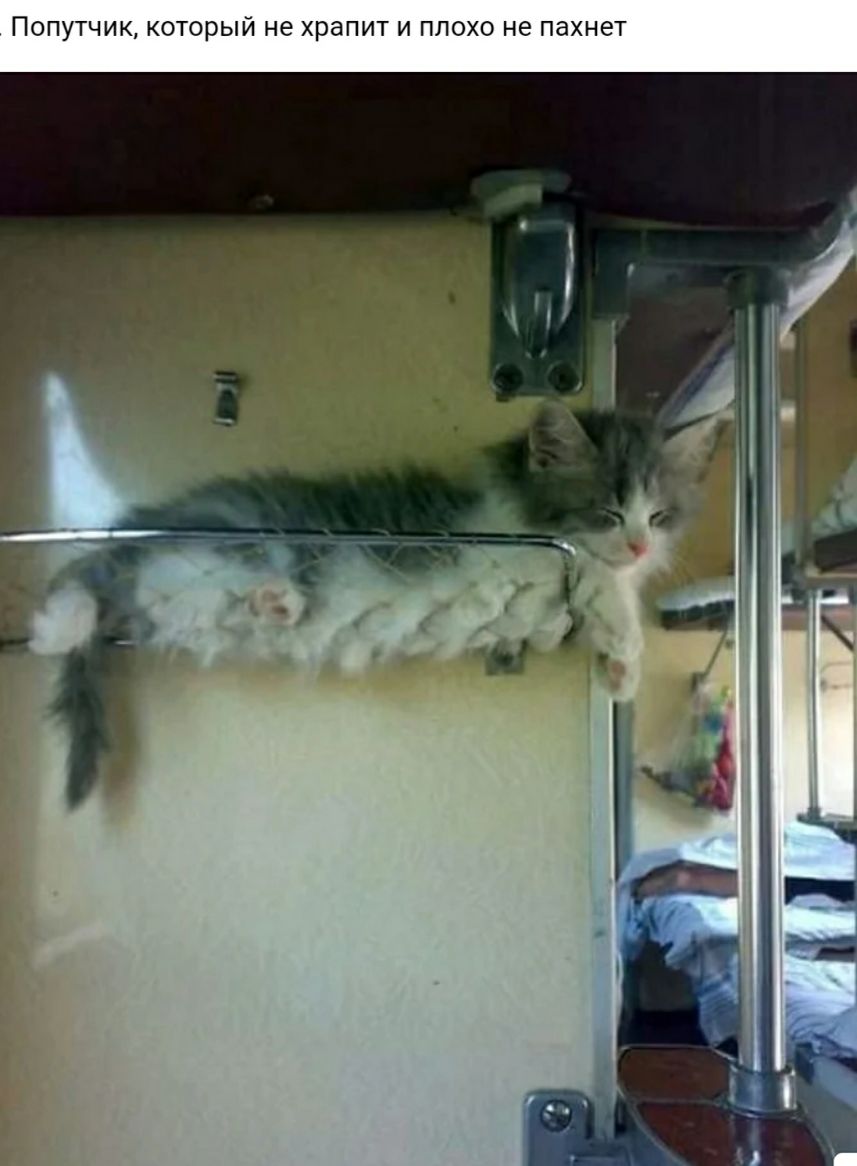 ПОПУТЧИК КОТОРЫЙ не храпит И ПЛОХО не пахнет