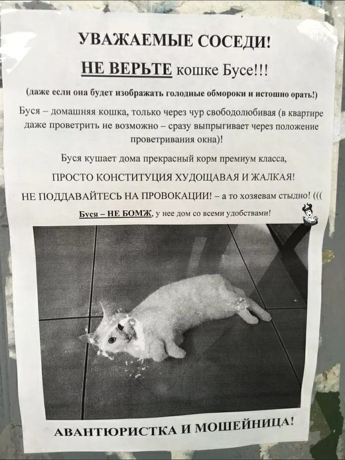 д _ УВАЖАЕМЫЕ СОСЕДИ НЕ ВЕРЬТЕ кошке Бусе ниже сс пш будет пшбражпь голодные обмороки напиши при Моя домашняя кошка только через чур свободолюбивал в квартире же приветрт ь не возможно сразу выпрыгивает через положение проветривания окна Буся кушает дома прекрасный корм премиум класса ПРОСТО КОНСТИТУЦИЯ ХУДОЩАВАЯ И ЖАЛКАЯ НЕ ПОДДАВАЙТЕСЪ НА ПРОВОКАЦИИ а то хозяевам стыдно Буки НЕ БОМЖ у не дом со 