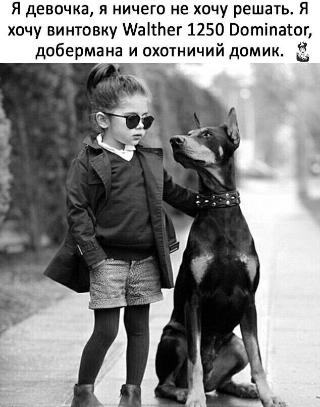 Я девочка я ничего не хочу решать Я хочу винтовку МаітЬег 1250 Вотіпатог добермана и охотничий домик