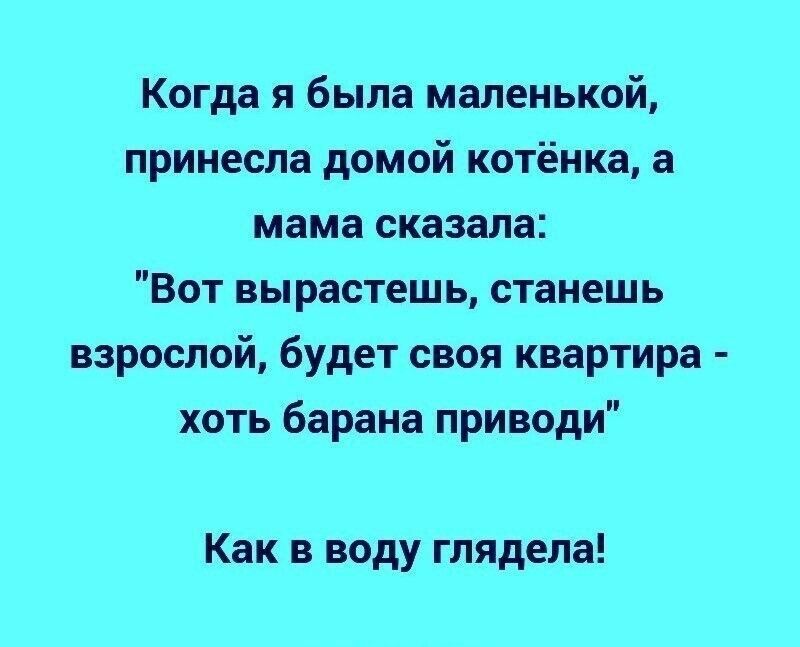 Когда я была маленькой принесла домой котёнка а мама сказала Вот вырастешь станешь взрослой будет своя квартира хоть барана приводи Как в воду глядела