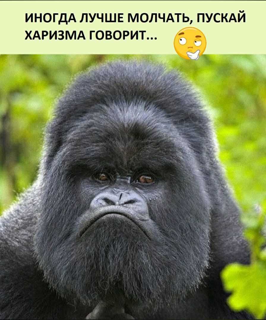 ИНОГДА ЛУЧШЕ МОЛЧАТЬ ПУСКАЙ ХАРИЗМА говорит