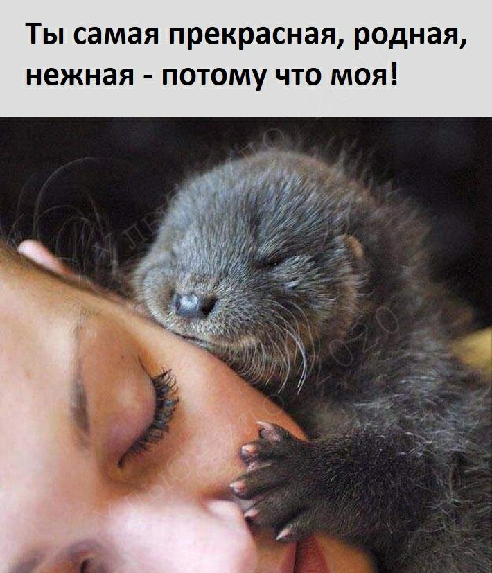 Ты самая прекрасная родная нежная потому что моя