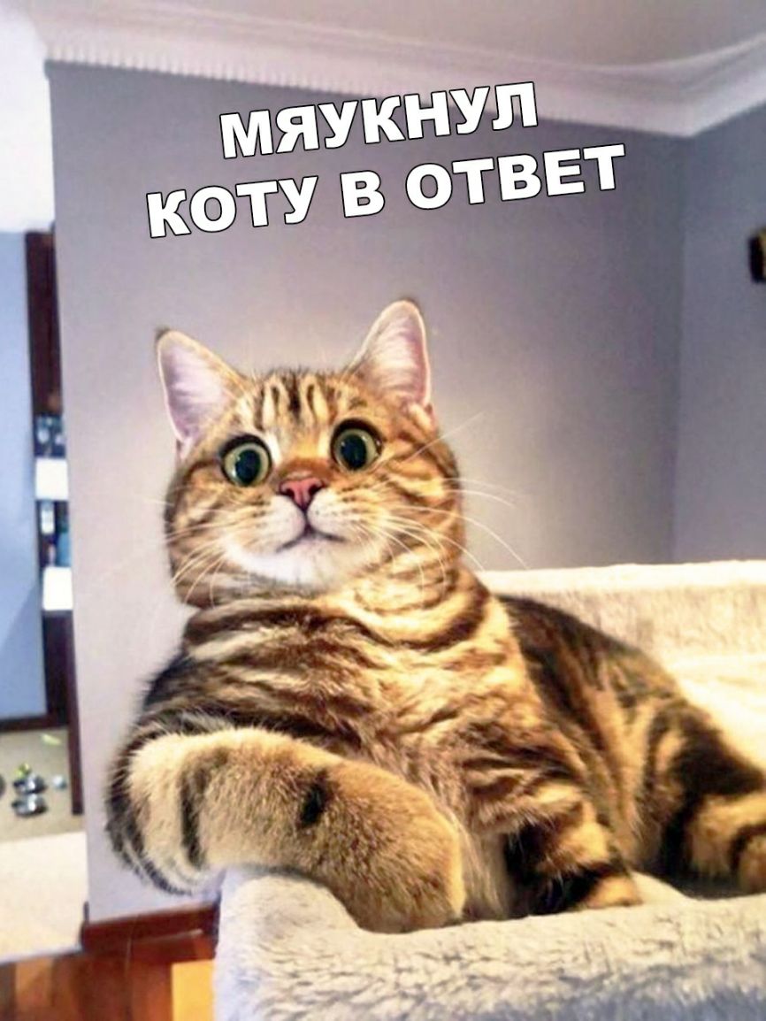 ігг